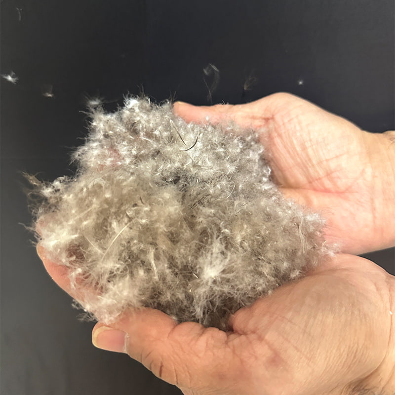 80% šedé kachní peří