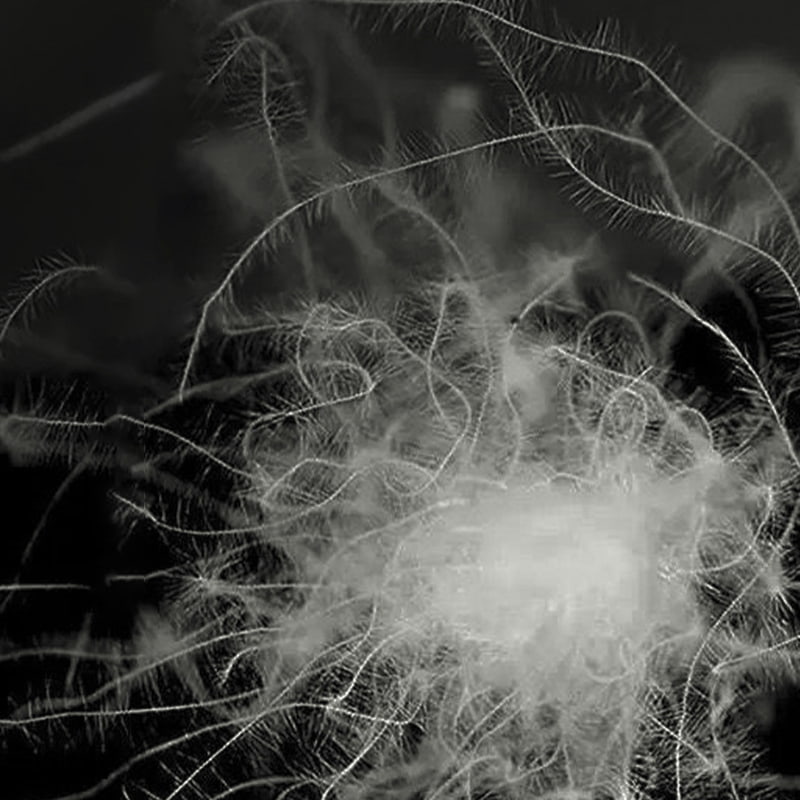 50% šedé kachní peří