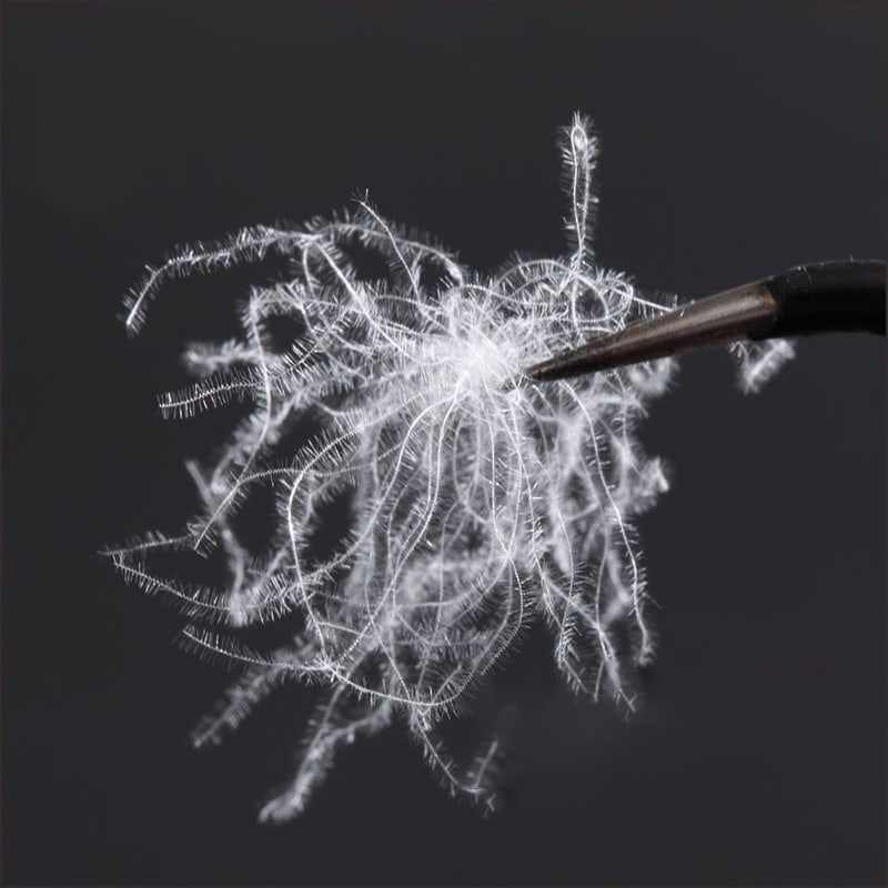 80% čistě bílé kachní peří