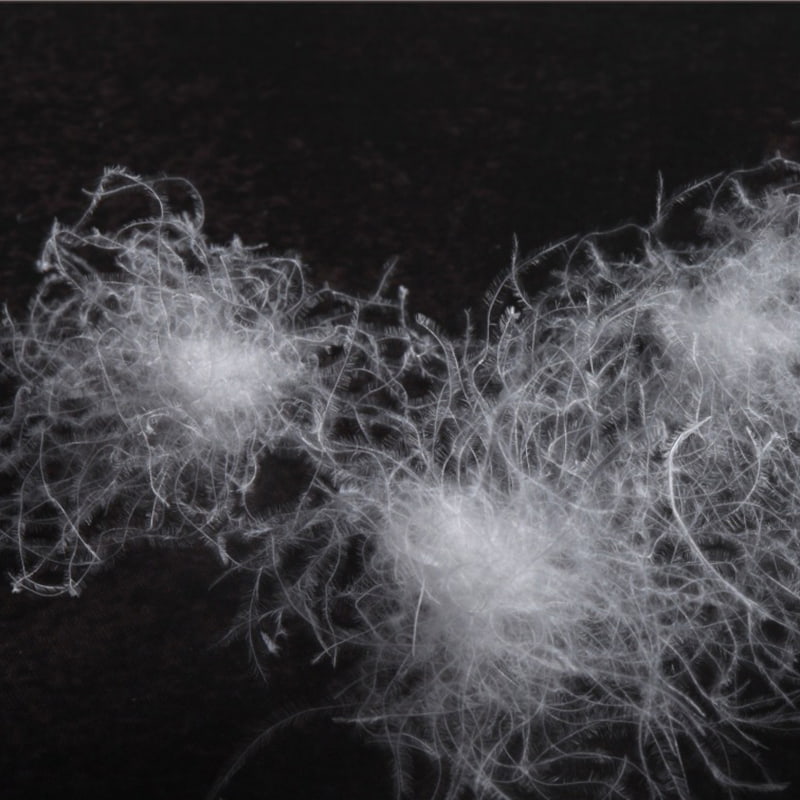 50% bílé husí peří 50% bílé husí peří