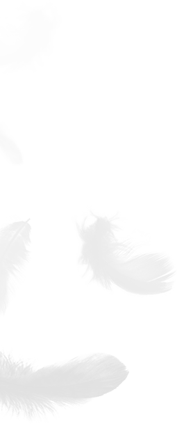 Zhejiang Shengjie Down Products Co., Ltd.